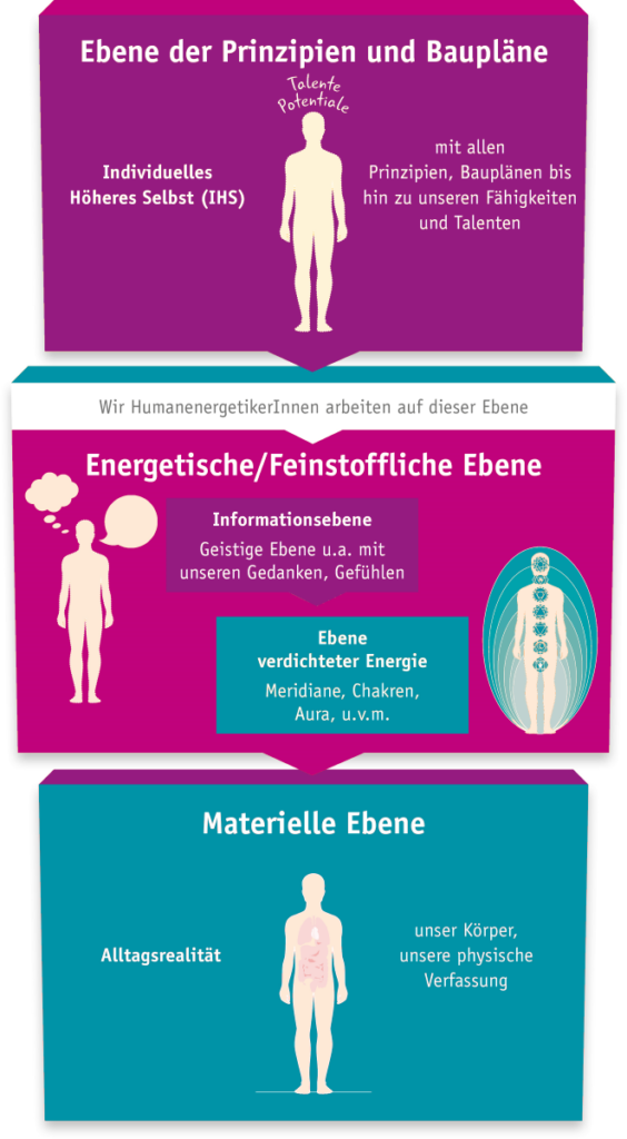 3-Ebenen-Modell der Humanenergetik